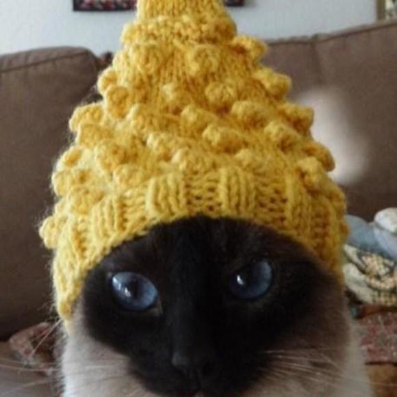 Meet your Posher, Janine - Picture 1 of 1